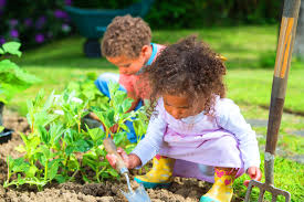 Gardening is good for a great many things. Why Gardening Is Good For You Sbs Life