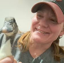 New ducklings from Metzer Farms