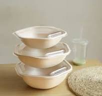Biodegradable Pulp Sugarcane Disposable to Go Salad ...