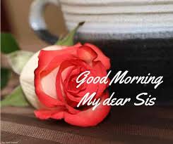 No matter how much you fight love you, sis. 120 Lovely Good Morning Wishes And Greetings For Sister