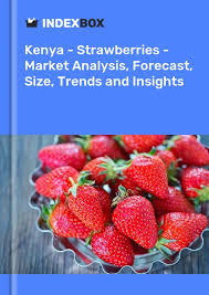 Production of Strawberry in Kenya