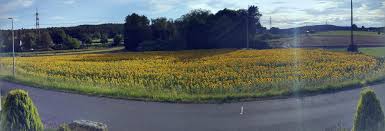 Ärzte in hausen im wiesental. Hausen