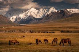 I Spent 3 Weeks In Asia S Hidden Gem Kyrgyzstan Photographing Its Surreal Nature Landscape Photo Kyrgyzstan Photography