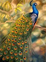 5d Diy Diamond Painting Animal Diamond Mosaic Cross Stitch Full Square Ezbuypay Dipinti Di Animali Painting Disegni Di Uccelli