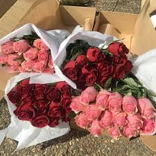 The best gifts for your boyfriend are extra special, which makes good boyfriend gifts especially hard to find. I Bought Cute Lingerie To Wear For My Boyfriend But I M On My Period