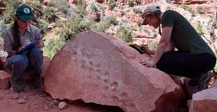 This Grand Canyon Discovery Terrifies The World | by The Time Traveler |  Lessons from History | Medium