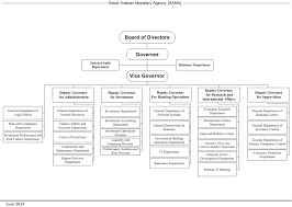 Organization Structure