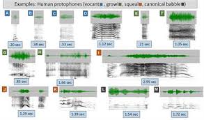 Then, you'll actually stand a. Frontiers Language Origins Viewed In Spontaneous And Interactive Vocal Rates Of Human And Bonobo Infants Psychology