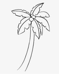 Maybe you would like to learn more about one of these? How To Draw Palm Tree Simple Palm Tree Drawing Easy Hd Png Download Kindpng
