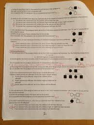 Key Pedigree Analysis Worksheet Mrs Pauliks Website