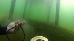 Knowledgebase → metal detectors → tesoro → tesoro tiger shark. June 8 2013 Diving With The Tesoro Tigershark Metal Detecting Youtube