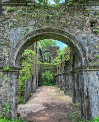 timeless beauty of Vasai Fort ...