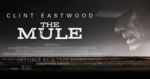 الرئيسية » افلام عربي » مشاهدة فيلم the mule 2018. The Mule 2018 Reviewsphere