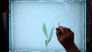 ebru art or water marbling art is an old ottoman art practised all over turkey this video shows a basic form of ebru by marble art ebru art water marbling