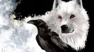 Check spelling or type a new query. White Wolf And Raven Desktop Wallpapers 1920x1080
