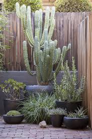 A Pasadena Garden Mixes Fresh And Modern Design With A Rustic Style Mexican Garden Succulent Landscape Design Rock Garden Design