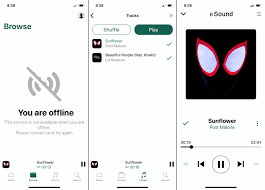 So you want to download a song from spotify? How To Download Free Music On Iphone And Ipad