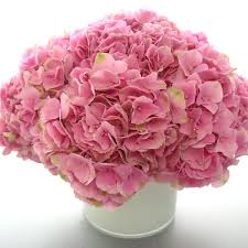 What flowers are in season in march for weddings. Flowers In Season February Flower Centerpieces Wedding March Wedding March Wedding Flowers