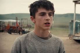 How tall and how much weigh timothee chalamet? Timothee Chalamet Facts Bio Career Net Worth Aidwiki