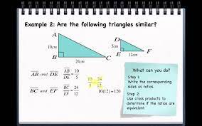 Ms 7 Math Similar Figures And Scale Factor Math For Middle School Learn Math Online Education Math