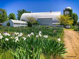 Maybe you would like to learn more about one of these? 11 Unusual Traverse City Things To Do Guinness Record Abandoned Mi