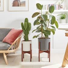 Nov 17, 2020 · slide your plant out of the pot to check the roots and speed up drying. Wooden Plant Stand Pots Patch