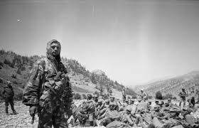 Jun 17, 2021 · кратко. Vojna V Afganistane Gody Prichiny Hod Vojny Itogi Syl Ru