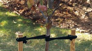 The design allows the user to remove stakes with outstanding efficiency. How To Stake A New Tree Garden Gate