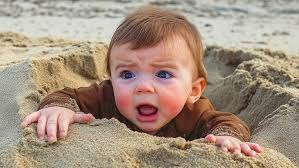 Puppy rides merry-go-round