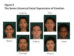 7 Universal Facial Expressions Of Emotion Facial Expressions Nonverbal Communication Expressions