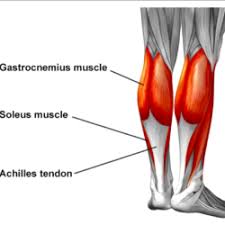 Image result for Taping for Soleus and Achilles