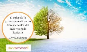 En el marco de las celebraciones del día mundial del medio ambiente, la onu ha lanzado una campaña que también marca el inicio del 'decenio de las naciones unidas sobre la restauración de los ecosistemas', un impulso mundial de diez años para prevenir, detener y revertir la degradación. 106 Frases De La Naturaleza Para El Dia Mundial Del Medio Ambiente