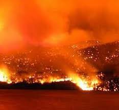 That it was achieved without serious injury or loss of life is a tribute to those who worked. Forest Fire Prevention In The Columbia Valley Bc