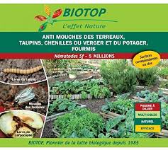 Je l'ai mis dans le jardin hier et. Achat Nature Nematode Sf Anti Mouche Terreaux Taupins Chenilles Fourmis 5m Pour 10m2 Amazon Fr Jardin