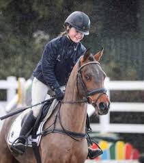 もう一つの海列車？ロケットマン出撃 (mō hitotsu no umi ressha? Ardeo Sport Horses Startseite Facebook