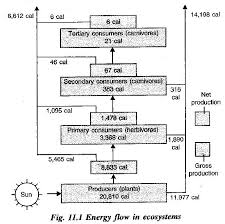 Draw A Diagram To Show That Law Of Conservation Of Energy Is