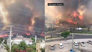 Antalya orman bölge müdürlüğü ve antalya büyükşehir belediyesine ait çok sayıda ekip sevk edildi. Qobxlysi Taclm