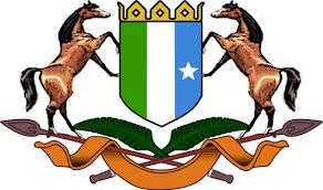 1 august waa malinteena waa malinkaan isku tashaney🇸🇱 ️🇸🇱. Puntland Flag Meaning