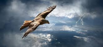 Adler planetarium, chicago, illinois, usa. Adler Flying Sky Free Photo On Pixabay