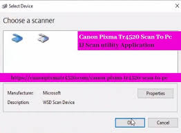 Canon ij scan utility ver.2.3.5 (mac 10,13/10,12/10,11/10,10/10,9/10,8). Pin Op Canon Printer Installation Troubleshoot