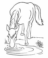 Horse coloring pages provide kids the chance to learn about these beautiful animals. Horse Template Animal Templates Free Premium Templates