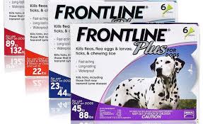Check spelling or type a new query. Frontline Plus 2021 In Depth Review Everything You Need To Know