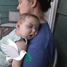 Where to buy new American flags with proper disposal?