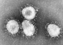 Meski tidak sepenuhnya efektif mencegah paparan kuman, namun. 5 Fakta Jenis Mutasi Baru Virus Corona B117 Asal Inggris