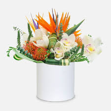 Learn what's being served up each day at your hometown culver's. Mahalo Flower Delivery Nyc Plantshed Com