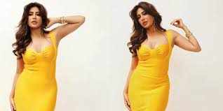 মামলার অভিযোগ প্রসঙ্গে মেহজাবীনের বিবৃতি । খবরের কাগজ