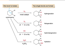 Chemistry final exam 2021 know section. Organic Chemistry Reactions Flashcards Quizlet