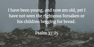 21 Powerful Bible Verses About The Future Peace Hope