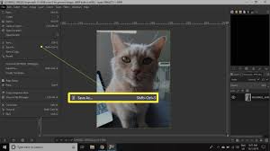 Select the image file you want to convert to pdf. Simple Steps To Save A Jpeg File In Gimp