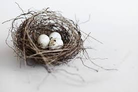 Birds That Lay Blue Eggs On The Ground Nest With Images Bird Nest Easter Birds